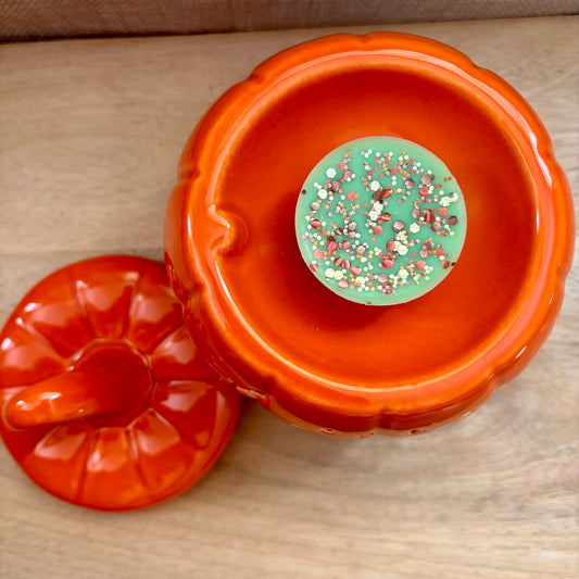 Orange Pumpkin Wax/Oil Burner