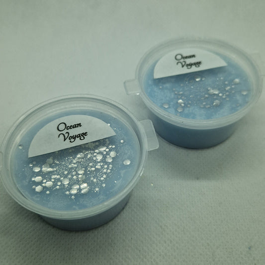 Ocean Voyage Wax Melts