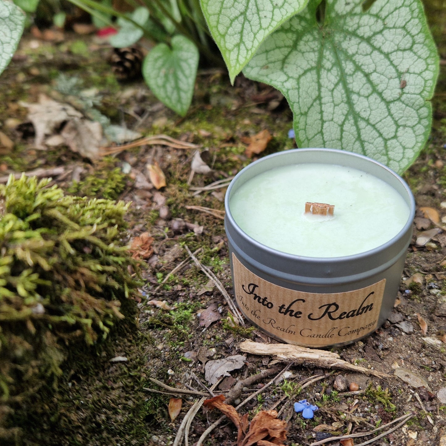 Into the Realm Crackling Tin