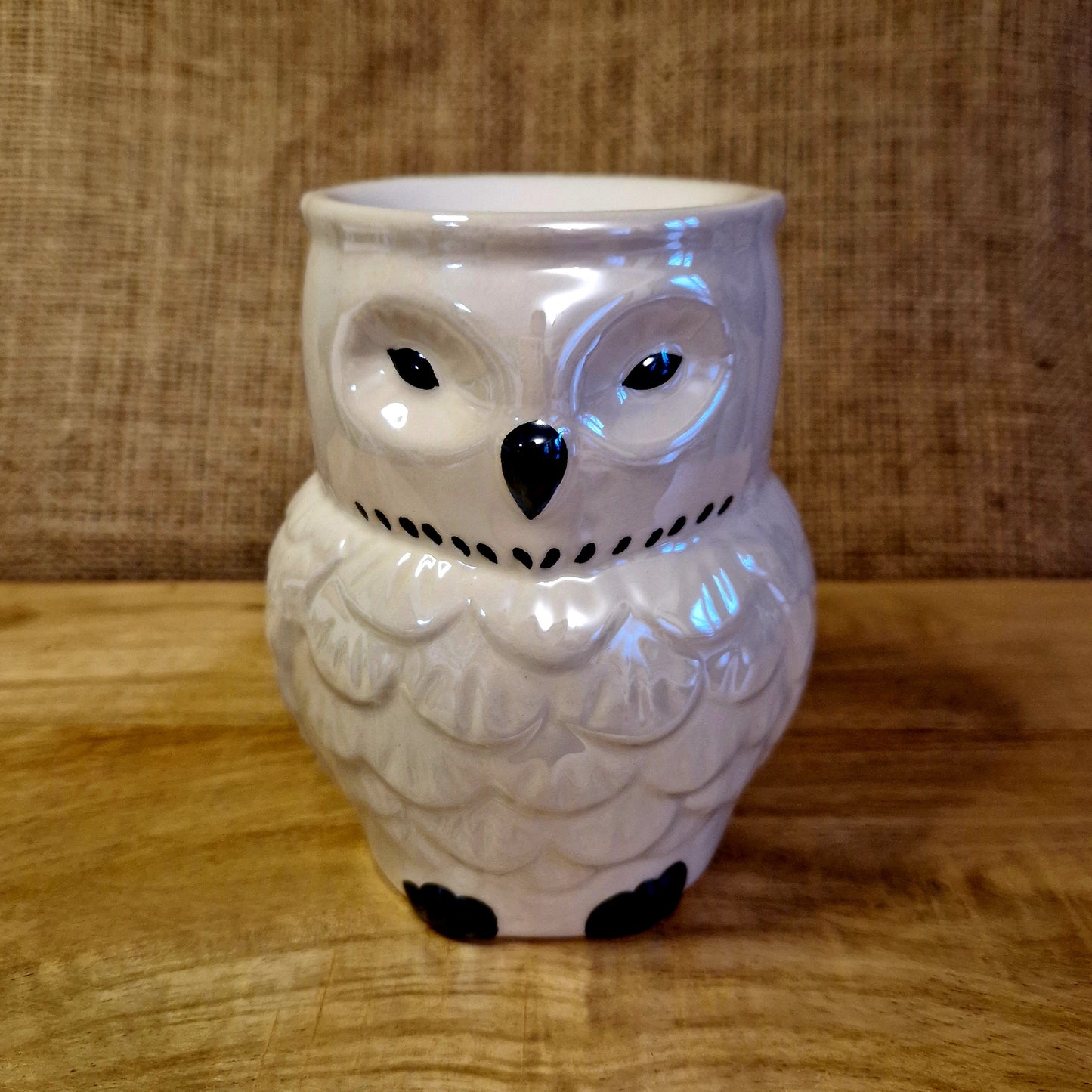 Iridescent Owl Wax/Oil Burner