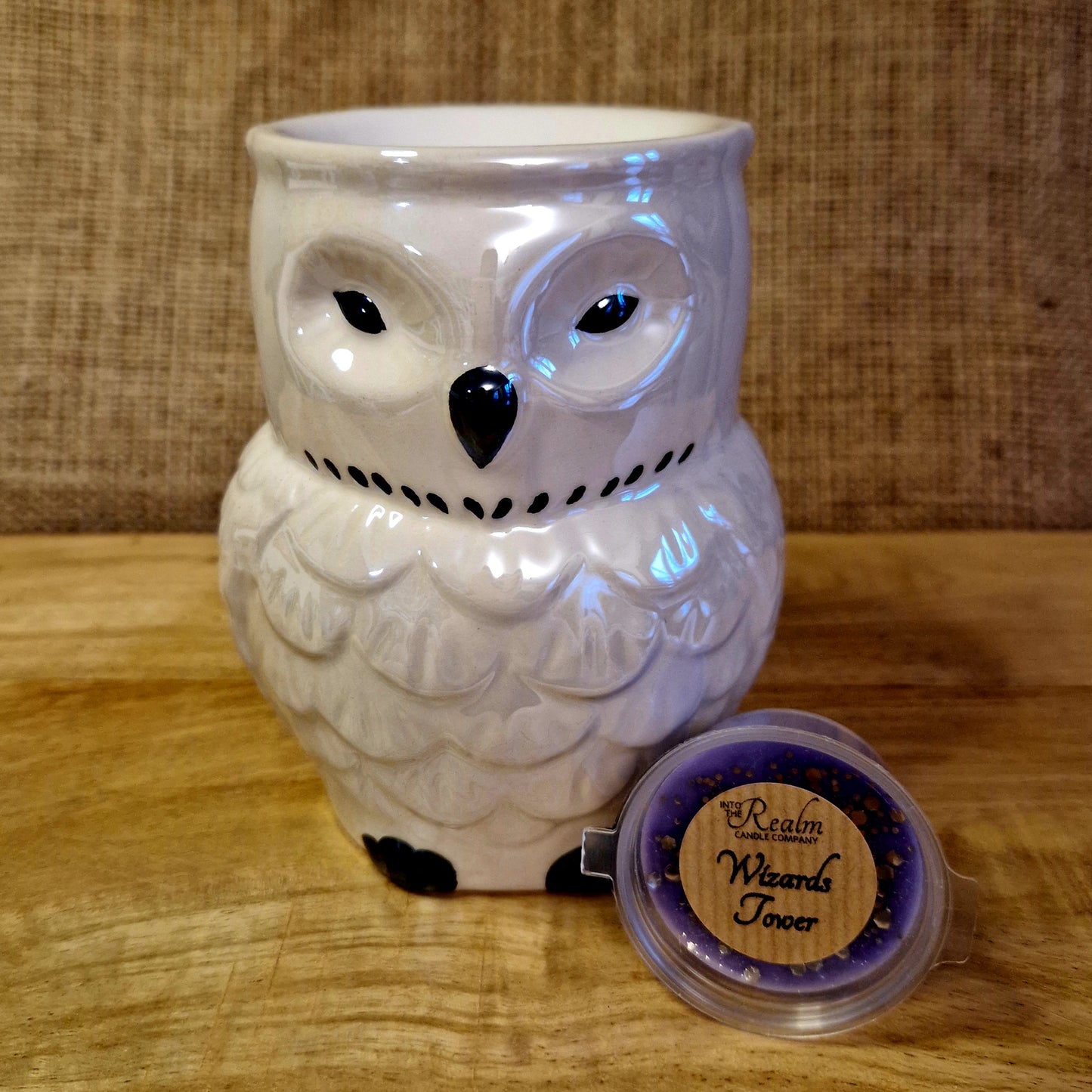 Iridescent Owl Wax/Oil Burner