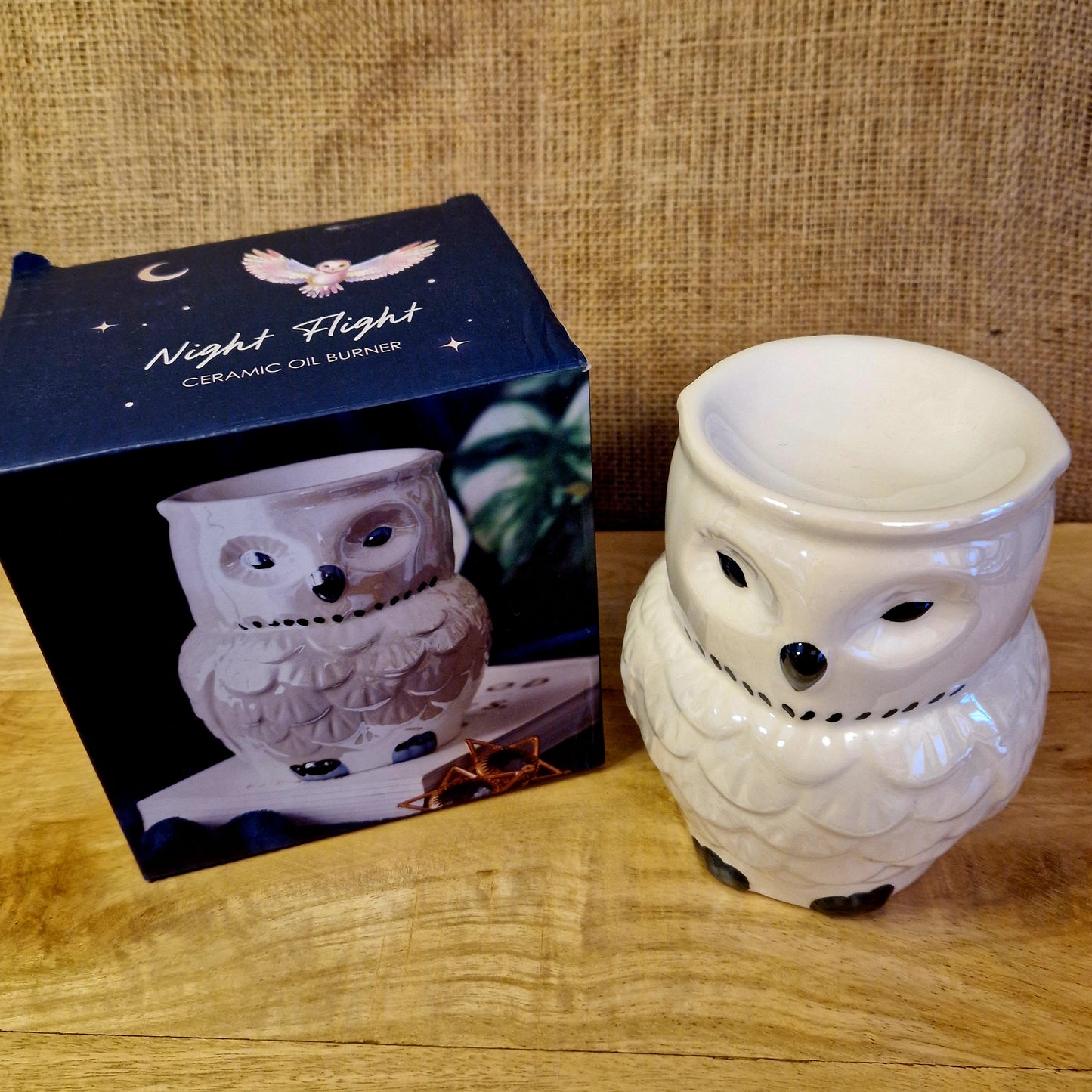 Iridescent Owl Wax/Oil Burner