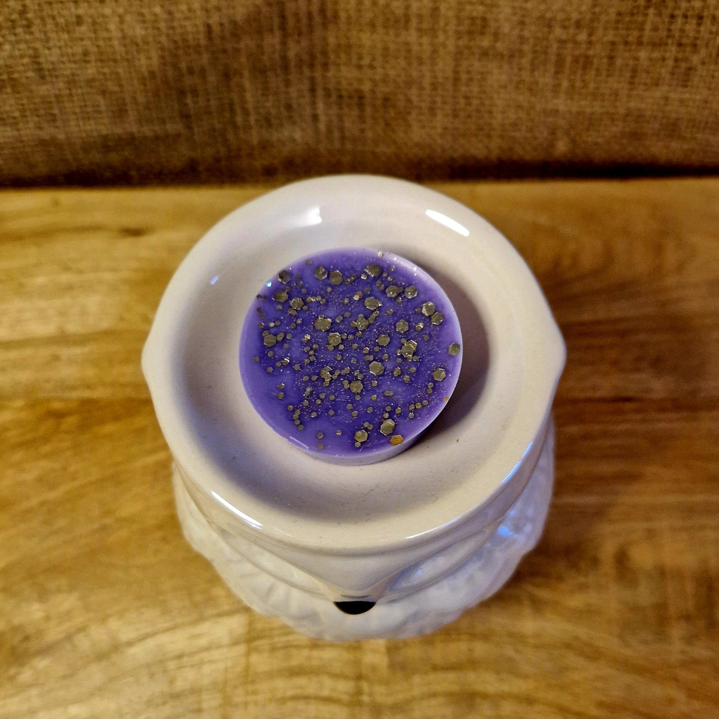 Iridescent Owl Wax/Oil Burner